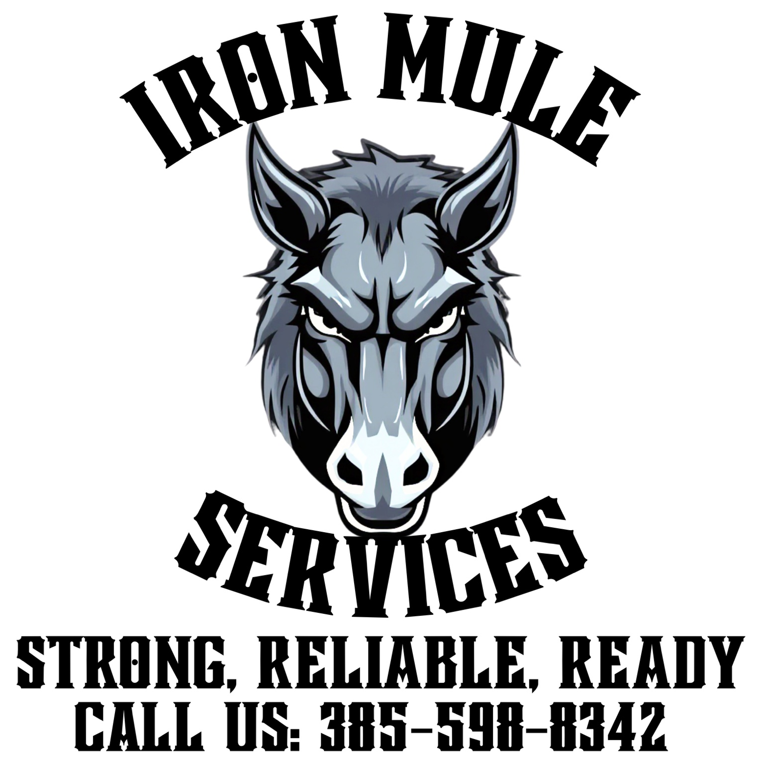 Iron Mule Junk Services logo